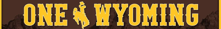 Wyoming Cowboys Gears